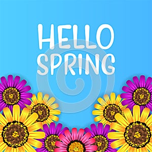 Hello Spring background with beauty purple, pink, yellow flower blossom