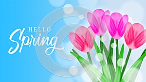 Hello Spring background with beauty tulips shiny flower blossom