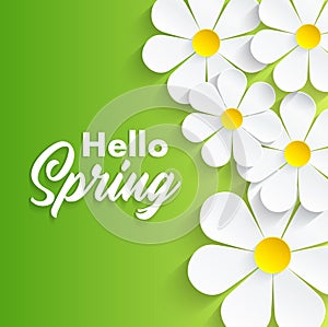 Hello Spring background with camomile flowers