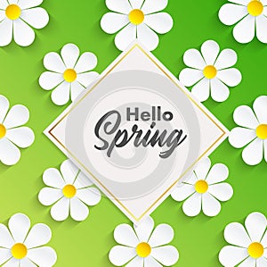 Hello Spring background with camomile flowers