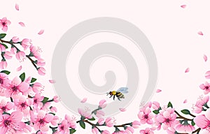 hello spring background with cheery blossom flowers