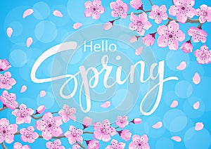 Hello spring background with cherry blossoms flowers branches