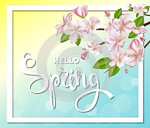 Hello spring background with cherry blossoms, leaves and branches.