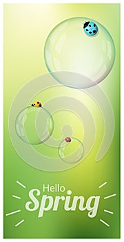 Hello Spring background with colorful ladybugs on soap bubbles