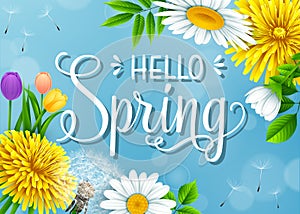 Hello Spring background with different flowers on blue sky background