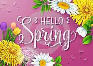 Hello Spring background with different flowers on purple background