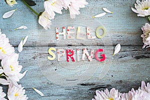 Hello Spring Background with Flowers