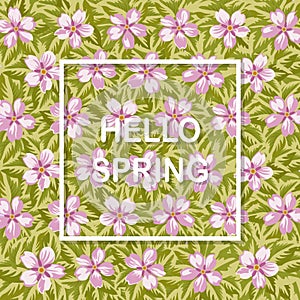 Hello spring background with flowers. Floral texture