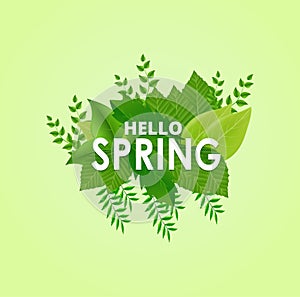 Hello Spring background with green leaves