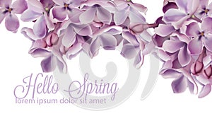 Hello spring background with purple lilac flowers Vector watercolor. Romantic floral wedding or greeting card decoration. Women