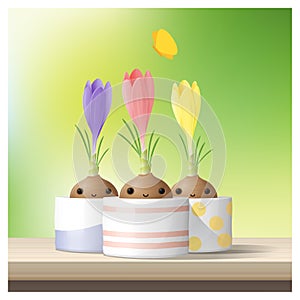 Hello Spring background with Spring flower Crocuses on wooden table top