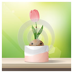 Hello Spring background with Spring flower Tulip growing in a pot on wooden table top