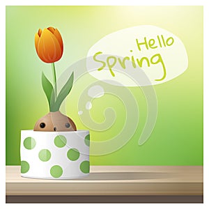 Hello Spring background with Spring flower Tulip growing in a pot on wooden table top