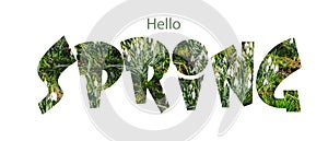 Hello Spring background with text from fist white snowdrop flowers in forest. Spring banner with copy space