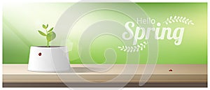 Hello Spring background with young sprout growing in a pot on wooden table top