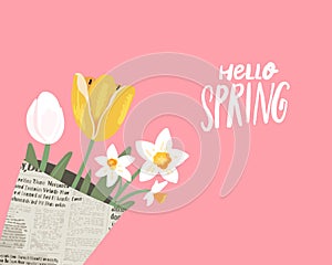 Hello Spring banner, tulips and daffodils bouquet in newspaper on pink background.