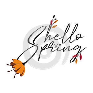 Hello spring. A black handwritten Hello spring. with spring flowers and leaves. Vector illustration isolated on a white background