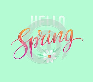 Hello spring card. Vintage lettering typography with camomile flower and green leaves. Vector illustration. EPS 10