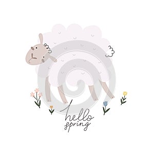 hello spring. Cartoon sheep, flowers, hand drawing lettering. colorful spring vector illustration, flat style.