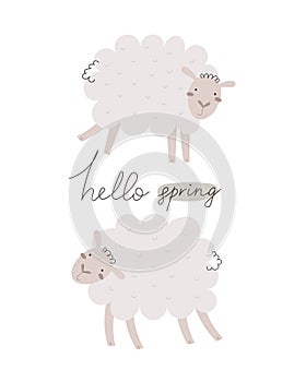 hello spring. Cartoon sheep, hand drawing lettering. colorful spring vector illustration, flat style.