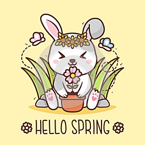 hello spring with cute rabbits with pot of flower