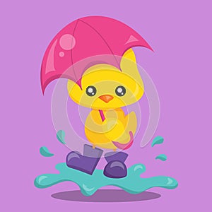 Hello Spring duck 04