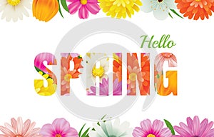 Hello spring flowers design in text background.