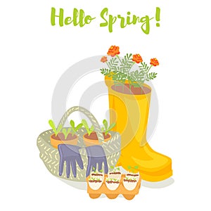 Hello spring gardening banner. Rubber boot, basket, gloves, seedlings, marigold flowers. Vector illustration