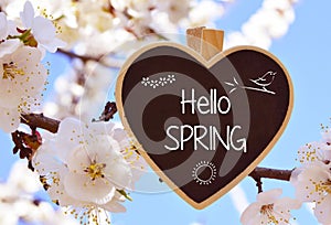 Hello Spring greeting card.Decorative heart with text and white sakura or cherry tree blossoms on a blue sky background.