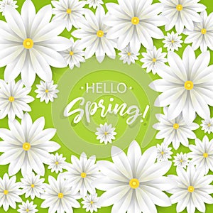 Hello Spring.Hand lettering with white flowers frame.Paper chamomile on green background. Vector illustration.