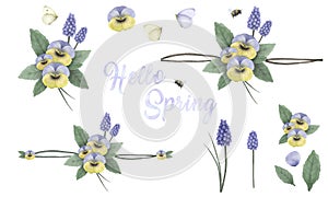 Hello spring, hand painted floral ornaments with viola`s, grape hyacinth, bumblebee and butterfly