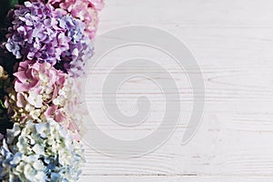 Hello spring. Happy mothers day. Women day. Beautiful hydrangea flowers on rustic white wood, flat lay. Colorful pink,blue,green,