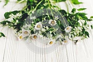 hello spring image. beautiful daisy flowers with greenery on rustic white wooden background top view. space for text. greeting ca