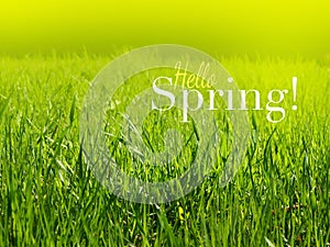 Hello spring - inspirational motivation quote