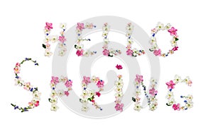 Hello spring lettering text from of flowers apple tree and blue wildflowers forget-me-nots on white background. Top view, flat lay