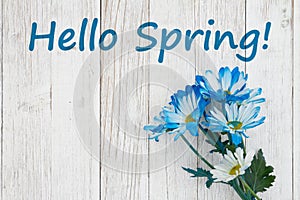 Hello Spring message with blue daisies