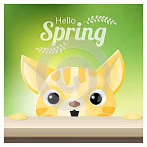 Hello Spring season background with a cat looking at a red ladybug