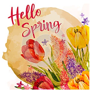 Hello Spring season Easter Hand drawn lettering and Tulip, Spring is coming illustration vector. Cute card with lovely