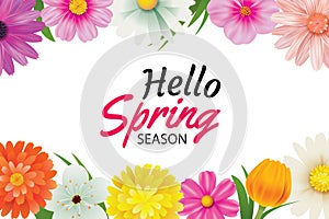 Hello spring season greeting card with colorful flower frame background template. Can be use