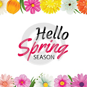 Hello spring season greeting card with colorful flower frame background template. Can be use