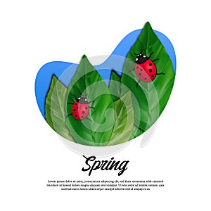 Hello spring season greeting card. leaves and red ladybug illustration concept