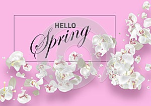 Hello Spring. Seasonal cover design. Vector floral illustration
