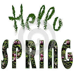 Hello SPRING. Set of two isolated words on a white background. Green rough brush inscription and letters with a texture.