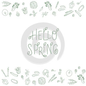 Hello spring sign with fresh, green vegetables frame. Handwritten lettering font with leafes. Vector stock illustration