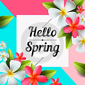 Hello spring text banner, greetings design with colorful flower elements in colorful background for spring season
