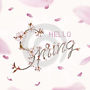 Hello Spring Text Isolated on Pink