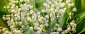 Hello spring text sign, beautiful fresh bouquet lily of the valley, rustic background. Flowers in soft morning sunlight with space