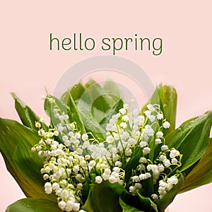 Hello spring text sign, beautiful fresh bouquet lily of the valley, rustic background. Flowers in soft morning sunlight with space