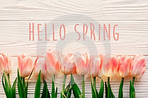 hello spring text sign, beautiful pink tulips on white rustic wooden background flat lay. flowers in soft morning sunlight with s