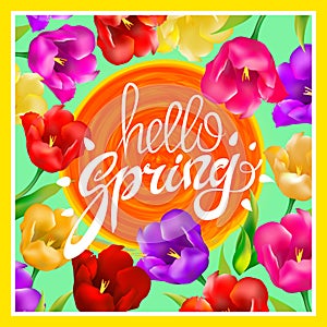 Hello Spring. Vector illustration with bright colorful tulips. A circle orange sun. post card. hand Lettering. green background